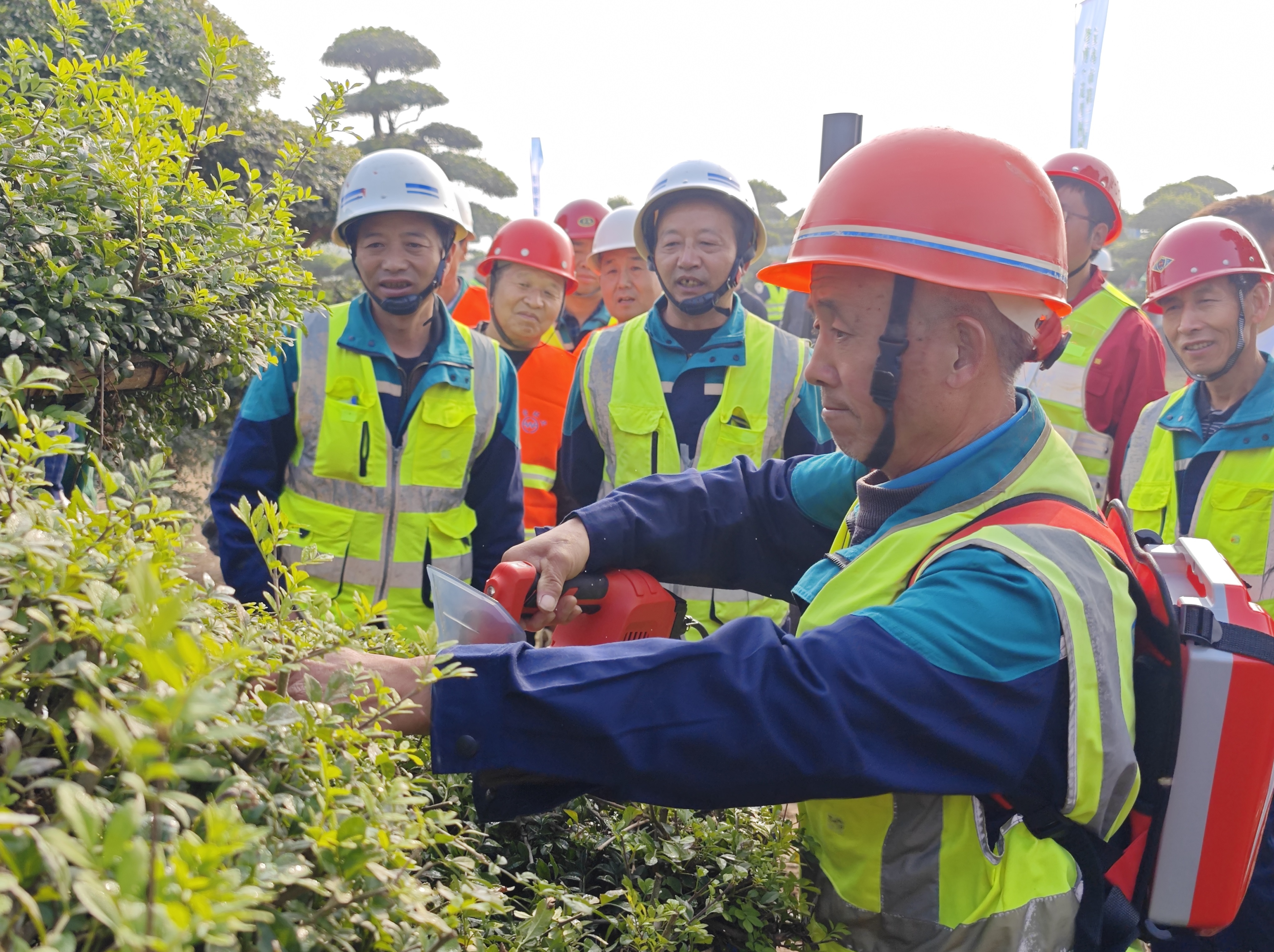 園林“老把式”的“新技能”——寶雞市第二屆園林綠化工修剪（植物造型）技能競賽在蟠...